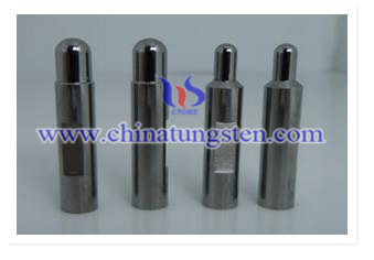 Tungsten Pin Picture